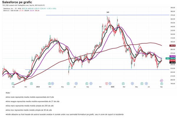 TradeVille: Salesforce - profit în creştere, estimări mai slabe